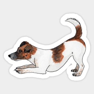 Jack Russell terrier Sticker